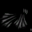 BD_M_1100_g_l (2).png